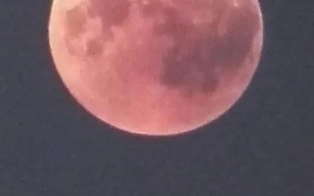 Foto od čtenáře.