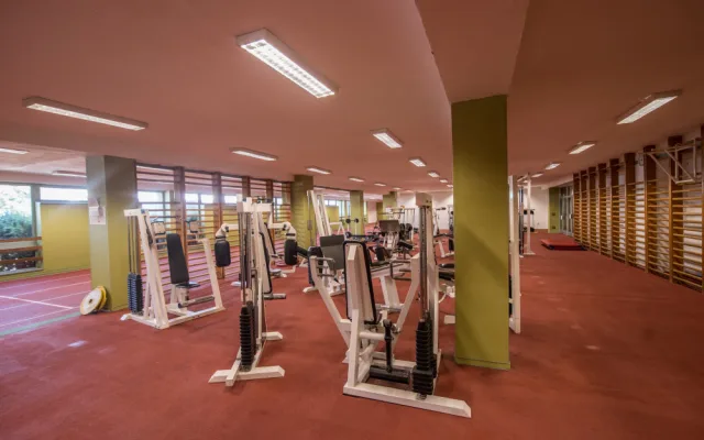 Mimo sezonu se většina sportovišť opravuje. V případě všesportovní haly ale k žádným opravám nedošlo kvůli tomu, že se počítalo s jejím zbouráním.