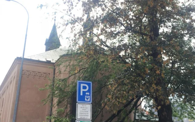 Průtrž mračen doprovázená silnějším větrem se prohnala dnes odpoledne Českými Budějovicemi.
