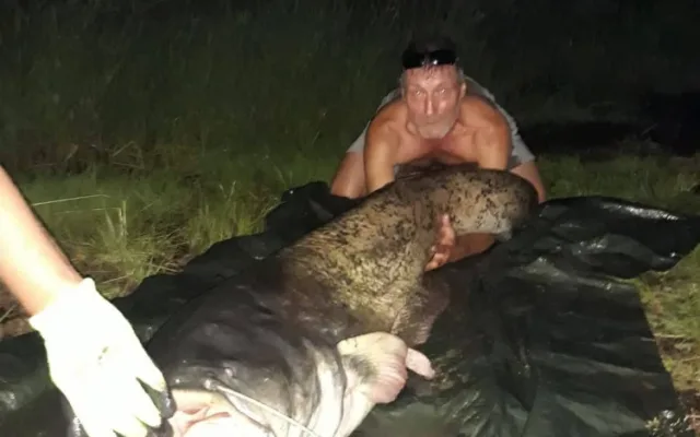 Zkušený rybář Miroslav Tyl chytil na Lipně životní úlovek.