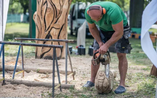 Před areálem Zoo Hluboká probíhá dřevosochařské sympozium pod názvem Obři z trávy.
