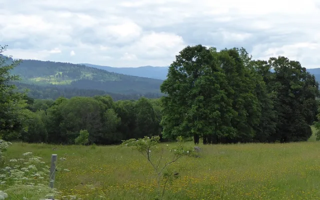České Žleby