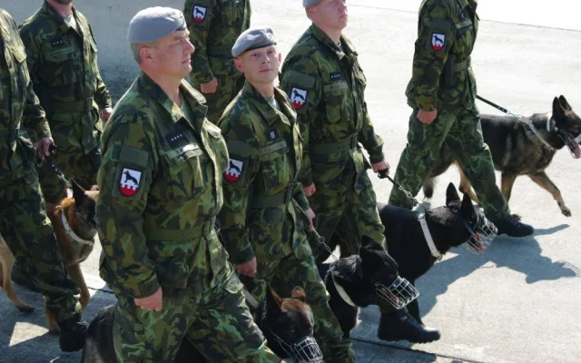 Jednotka se psy při nácviku slavnostní přehlídky.