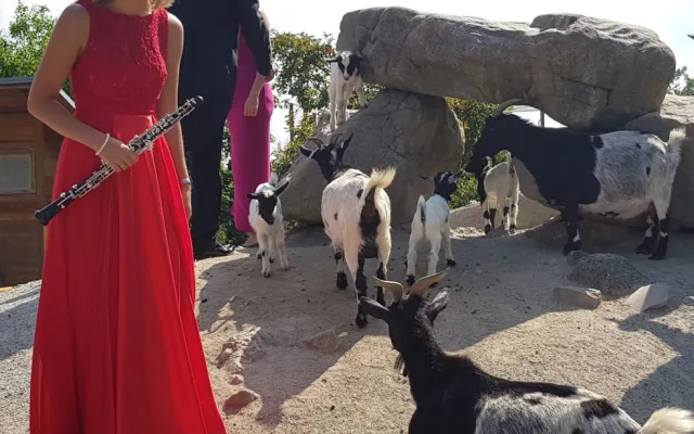 Jihočeská filharmonie natočila klip v Jihočeské zoo Hluboká nad Vltavou.