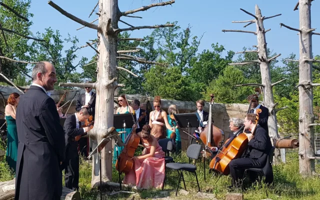 Jihočeská filharmonie natočila klip v Jihočeské zoo Hluboká nad Vltavou.