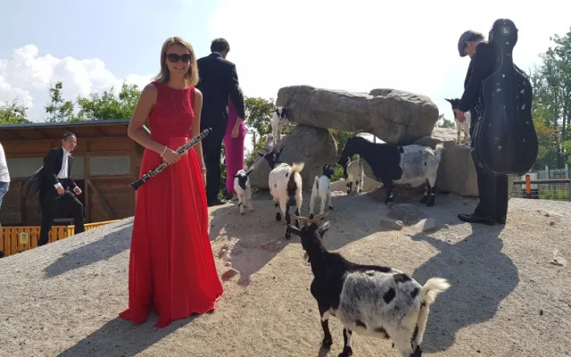 Jihočeská filharmonie natočila klip v Jihočeské zoo Hluboká nad Vltavou.