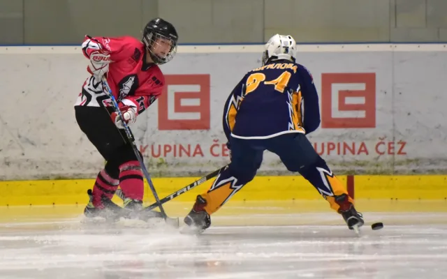 Mezinárodní ženský hokejový turnaj International Dragon 2018 se uskutečnil v českobudějovickém Hokejovém centru Pouzar