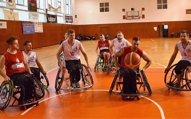 Basketbaloví Tigers na vozíku.
