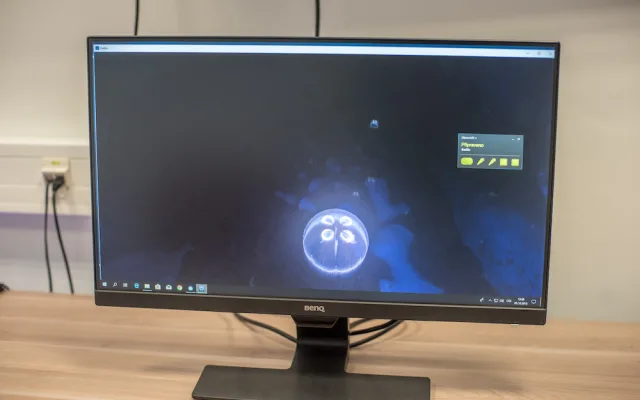 Virtuální realita jako pomocník manažerů i léčba strachu z pavouků nebo výšek.