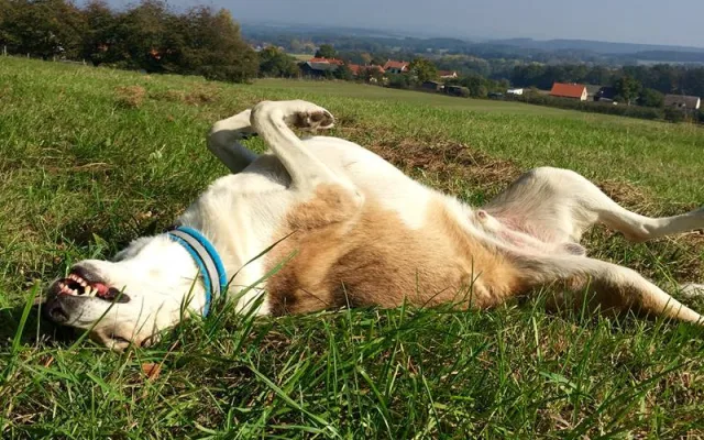 Foto: Zuzana Říhová