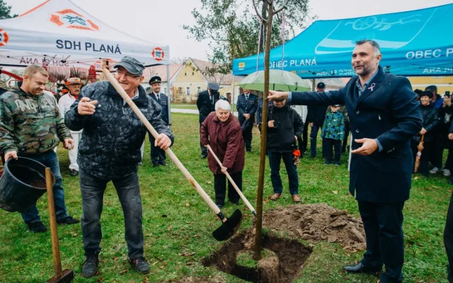 Sázení stromu.