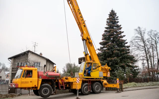 Dvanáctimetrová jedle korejská bude letošním vánočním stromečkem
