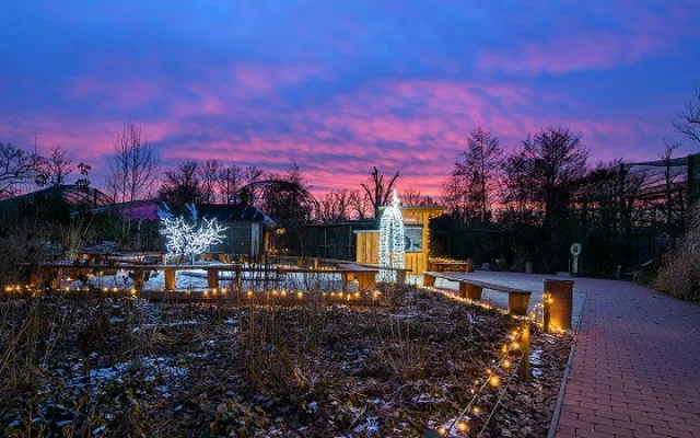 V Nasvícené zoo se objeví lední medvěd nebo tučňáci