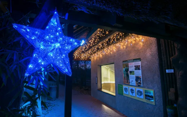 V Nasvícené zoo se objeví lední medvěd nebo tučňáci