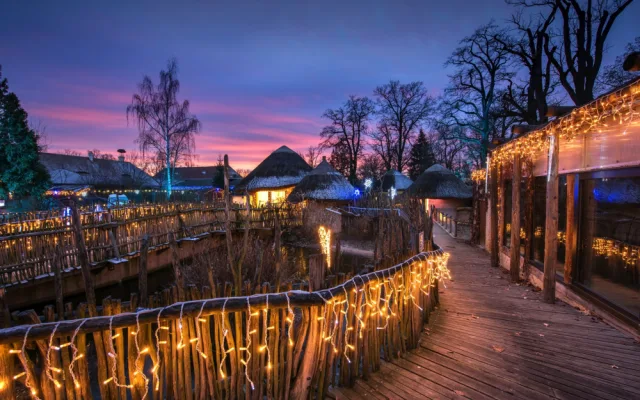 V Nasvícené zoo se objeví lední medvěd nebo tučňáci