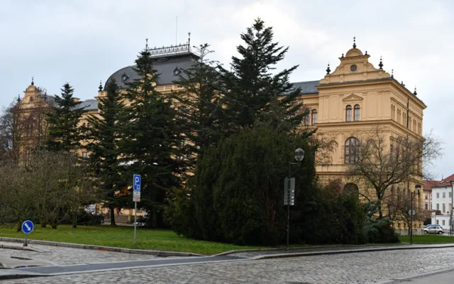Kácet, či nekácet?
