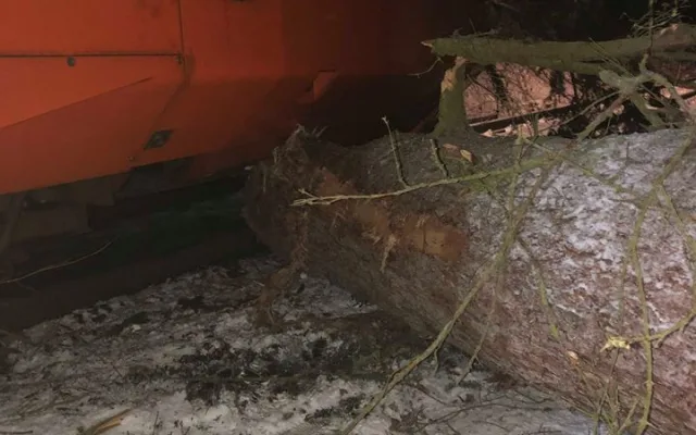 U Malenic na Strakonicku narazil vlak do stromu. Nikdo není zraněn