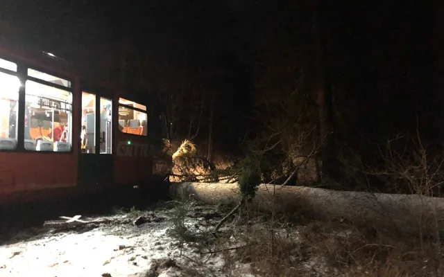 U Malenic na Strakonicku narazil vlak do stromu. Nikdo není zraněn