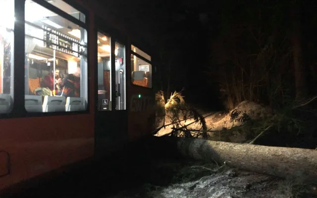 U Malenic na Strakonicku narazil vlak do stromu. Nikdo není zraněn