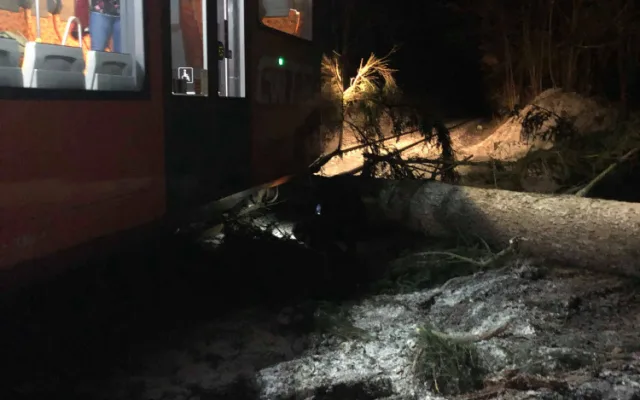 U Malenic na Strakonicku narazil vlak do stromu. Nikdo není zraněn