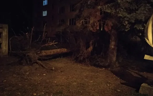 Foto: Martina Tesařová.