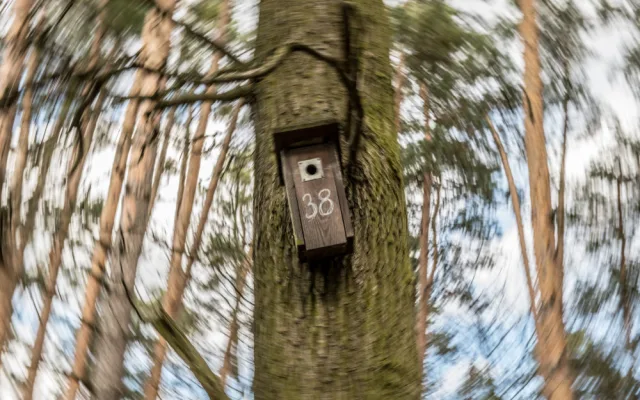Branišák stále přichází s něčím zajímavým