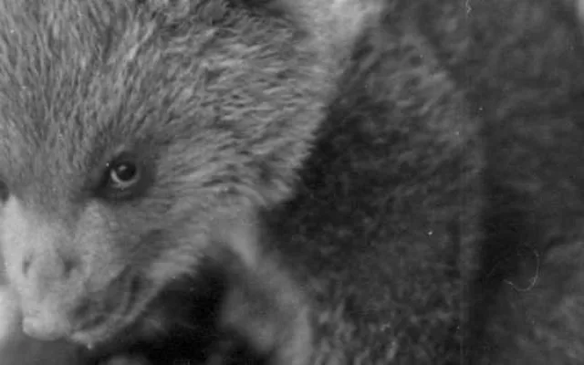Hlubocká zoo slaví výročí. Její zakladatel přicestuje z minulosti