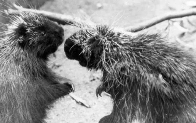 Hlubocká zoo slaví výročí. Její zakladatel přicestuje z minulosti