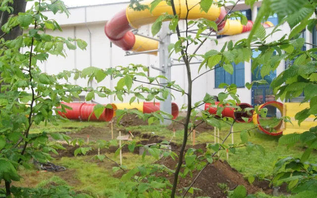 Za plovárnu bez tobogánu může pochybení projektanta