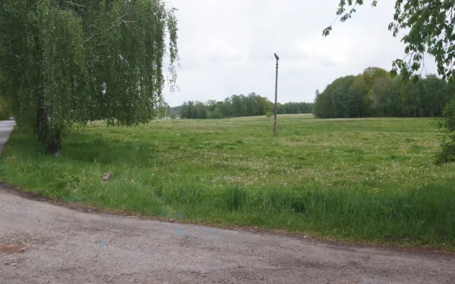 U obce Žár se stala tragická dopravní nehoda, řidič po nárazu do stromu zemřel