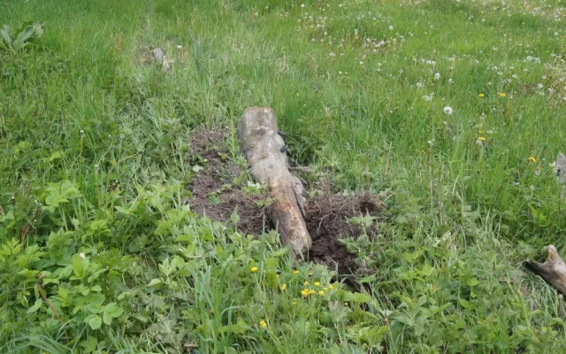 U obce Žár se stala tragická dopravní nehoda, řidič po nárazu do stromu zemřel