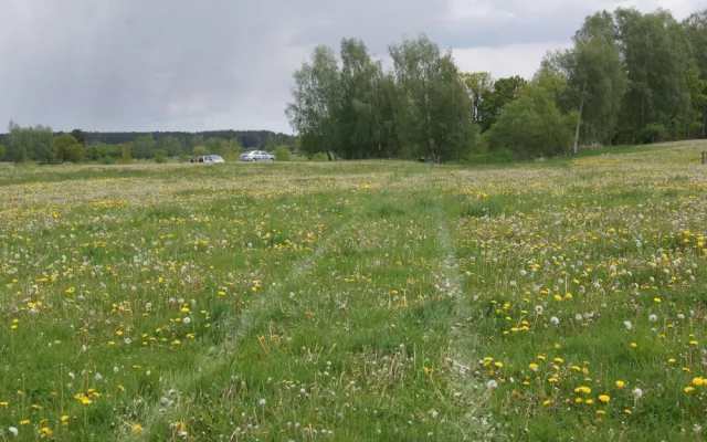 U obce Žár se stala tragická dopravní nehoda, řidič po nárazu do stromu zemřel