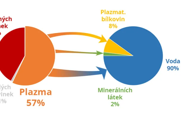 Darujte krevní plazmu, zachráníte životy