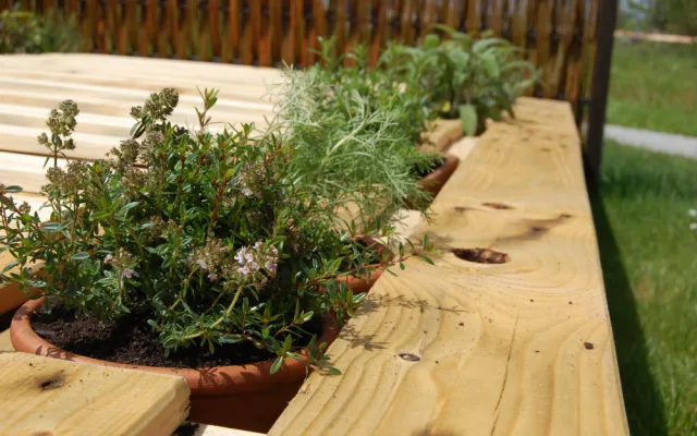 Krásná hornorakouskou výstavu Bio.Garten.Eden se vyplatí navštívit i víckrát. Květiny se obměňují dle sezóny