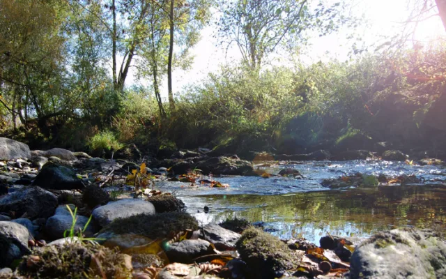 Krásná hornorakouskou výstavu Bio.Garten.Eden se vyplatí navštívit i víckrát. Květiny se obměňují dle sezóny