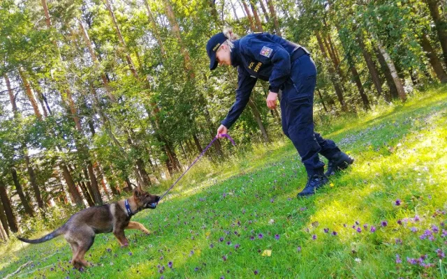 Stát se policistkou či policistou není jednoduché rozhodnutí, tato práce tě však zcela pohltí.