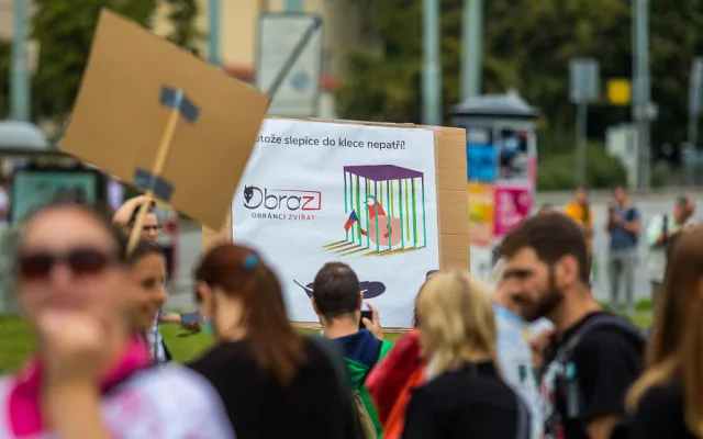 FOTO, VIDEO: Kočka, pes i kráva, mají svoje práva! Volali lidé v rámci pochodu za práva zvířat