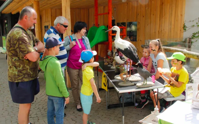 Zoo Hluboká oslaví Den zvířat, hlavním tématem bude ptactvo