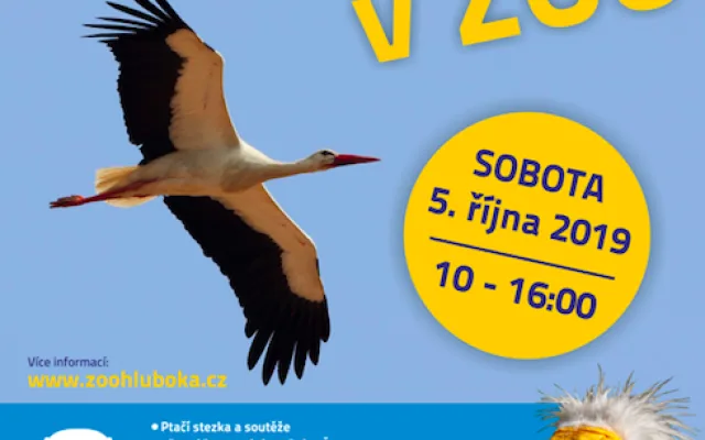 Zoo Hluboká oslaví Den zvířat, hlavním tématem bude ptactvo