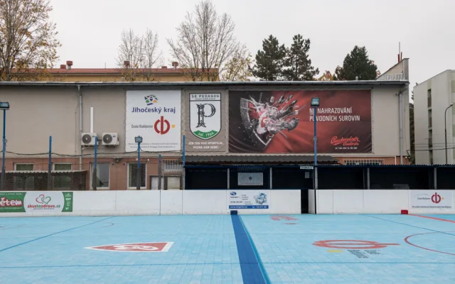 SK Pedagog