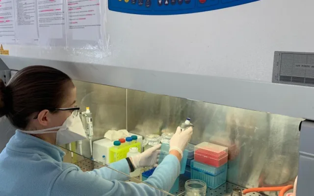 Společnost Gen-Trend zapůjčila nemocnici automat na izolaci vzorků k analýze na koronavirus
