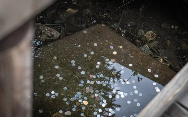 Pojedeme na výlet k řece. K Vltavě pěkně od pramene