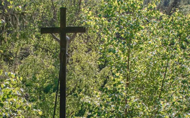 Kousek Vltavy budete mít jako na dlani. Zkuste výlet na vyhlídkové místo U kříže nedaleko Poněšic