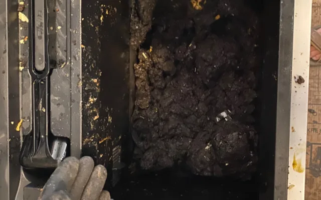 Použitý plast bistro na Lipně kompostuje. Vzniklým materiálem pak hnojí rostliny