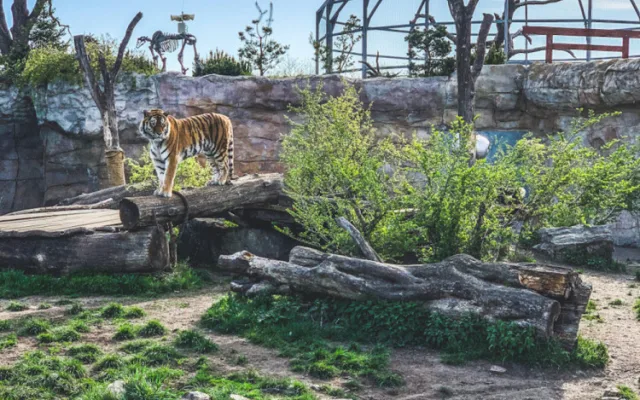 Budějovicko ladí turistickou nabídku se zájmy místních lidí