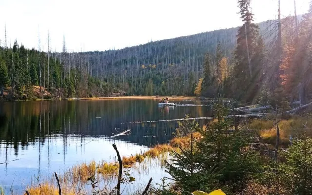 Šumava slaví. Po padesáti letech se do tamního jezera vrátili pstruzi