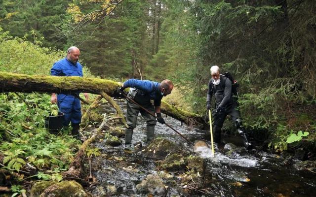 Šumava slaví. Po padesáti letech se do tamního jezera vrátili pstruzi