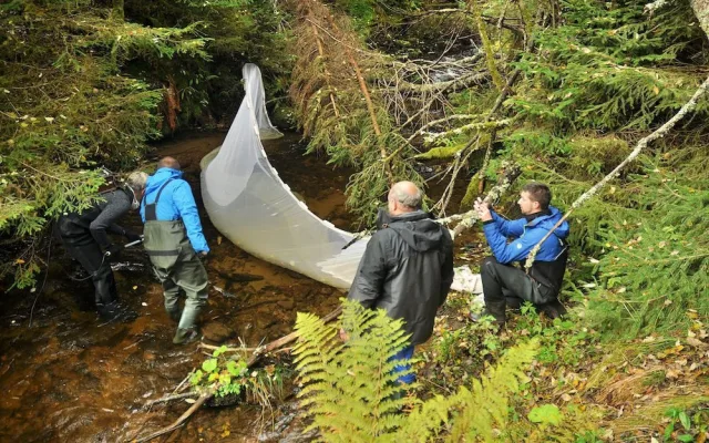 Šumava slaví. Po padesáti letech se do tamního jezera vrátili pstruzi