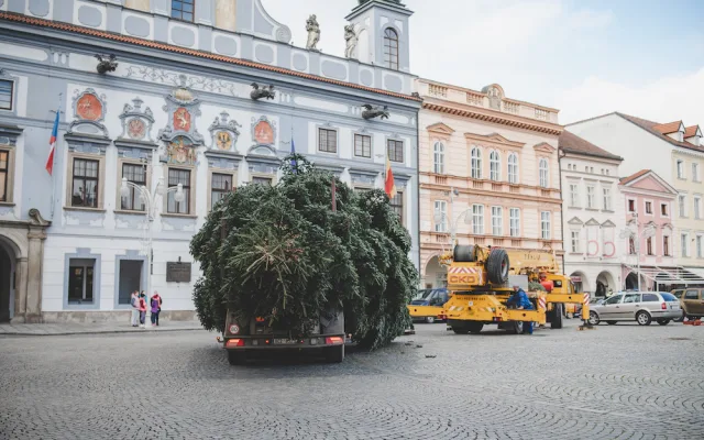 Na náměstí stojí vánoční strom. Slavnostní rozsvícení proběhne letos online