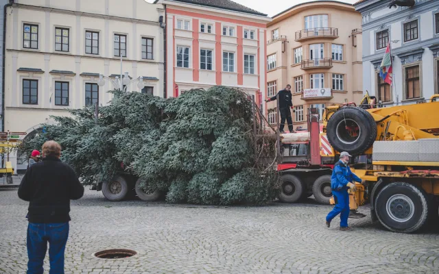 Na náměstí stojí vánoční strom. Slavnostní rozsvícení proběhne letos online